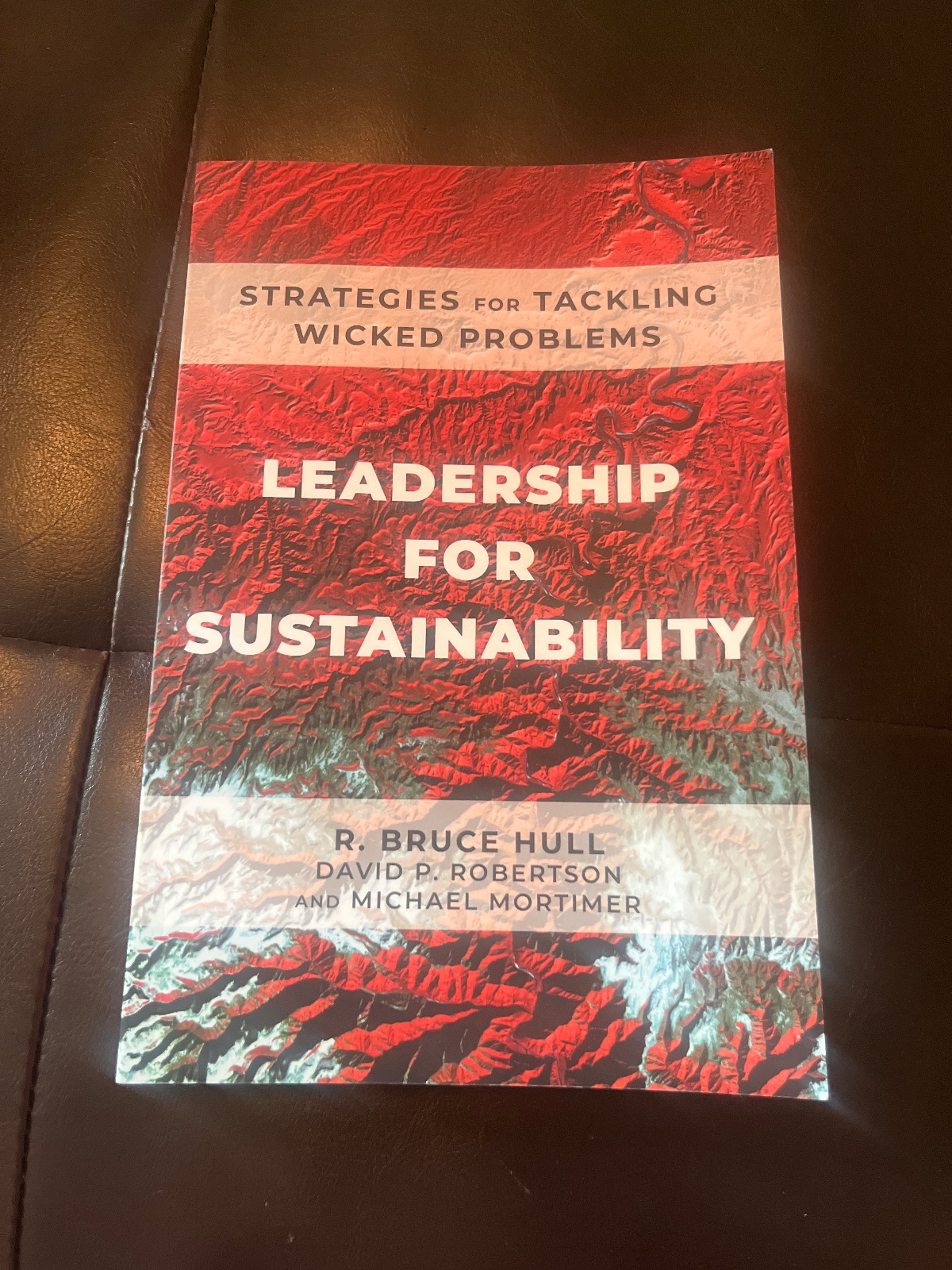 Leadership for Sustainability Strategies for Tackling Wicked Problems