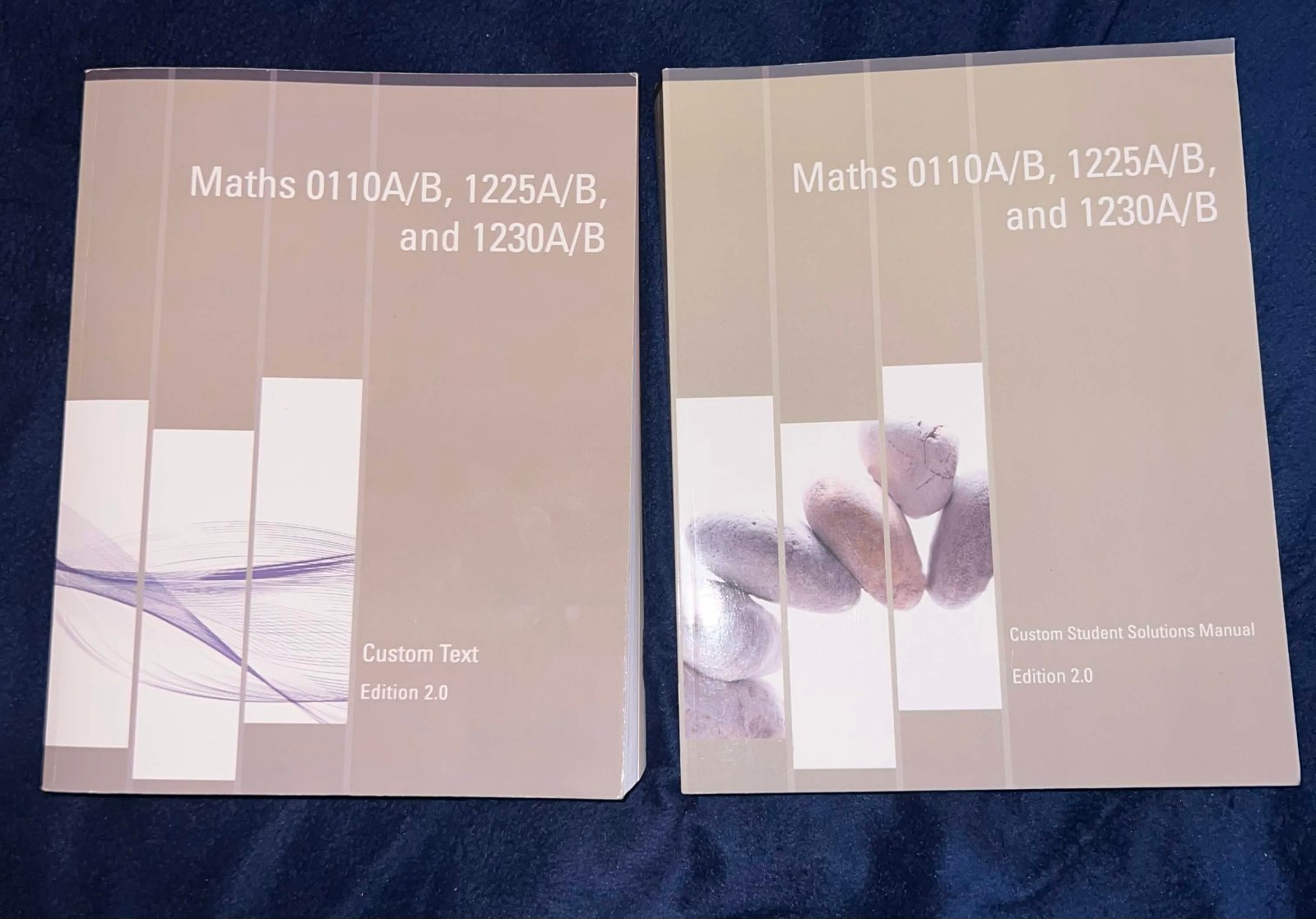 Print Bundle: Custom Textbook and Solutions Manual for MAT0110A/B 1225A/B 1230A/B